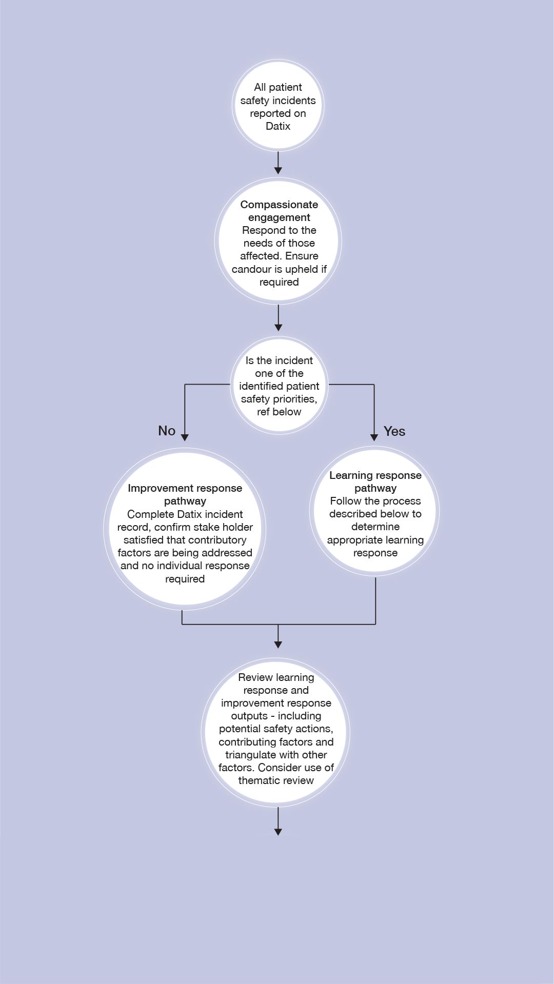 Patient Safety Incident Response Framework